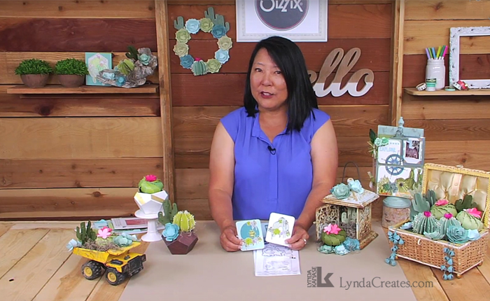 Succulent Serenity Collection Now&nbsp;Available