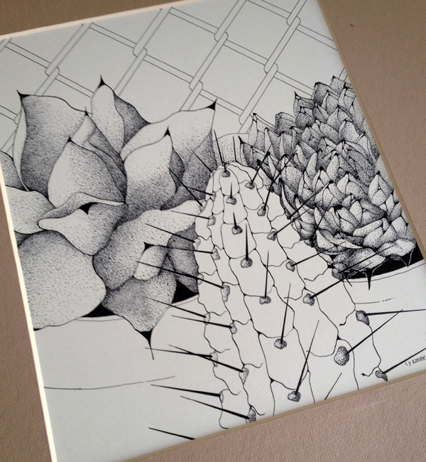 College_succulent_illustration