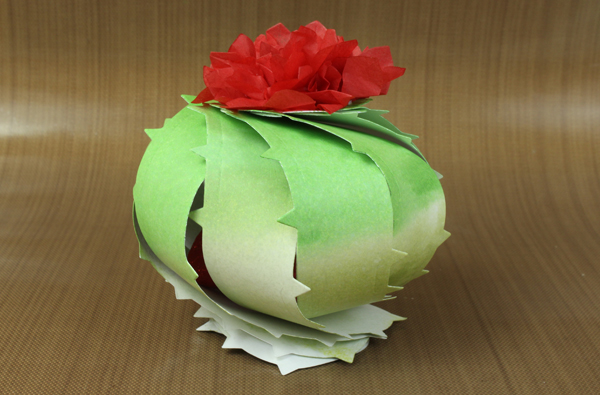 Barrel_cactus_treat_box