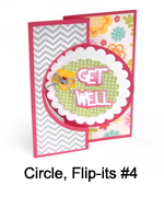 660022_Circle_Flipits_4