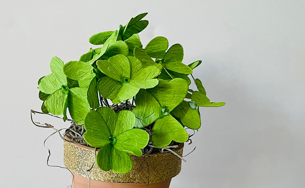 St. Patrick’s Day&nbsp;Bouquet